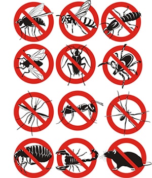 obtener un precio de una empresa de exterminio que puede fumigar las garrapatas de su hogar o negocio en Lake Arrowhead California y ayudarle a prevenir futuras infestaciones